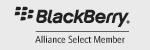 blackberry logo